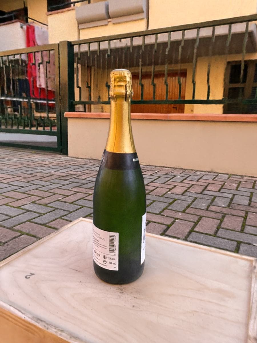 Francoise Brut